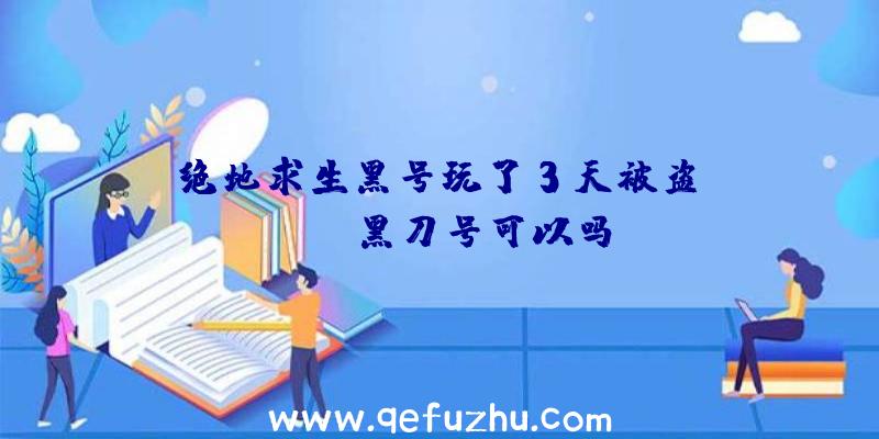 「绝地求生黑号玩了3天被盗」|pubg黑刀号可以吗